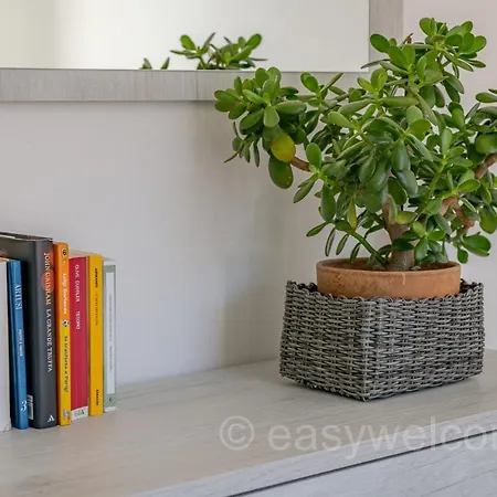 Easy Welcome Il Tornante 2 - Appartement Nesso